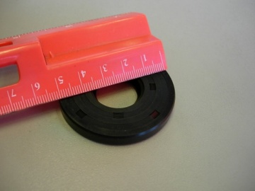 AP - ponte anteriore